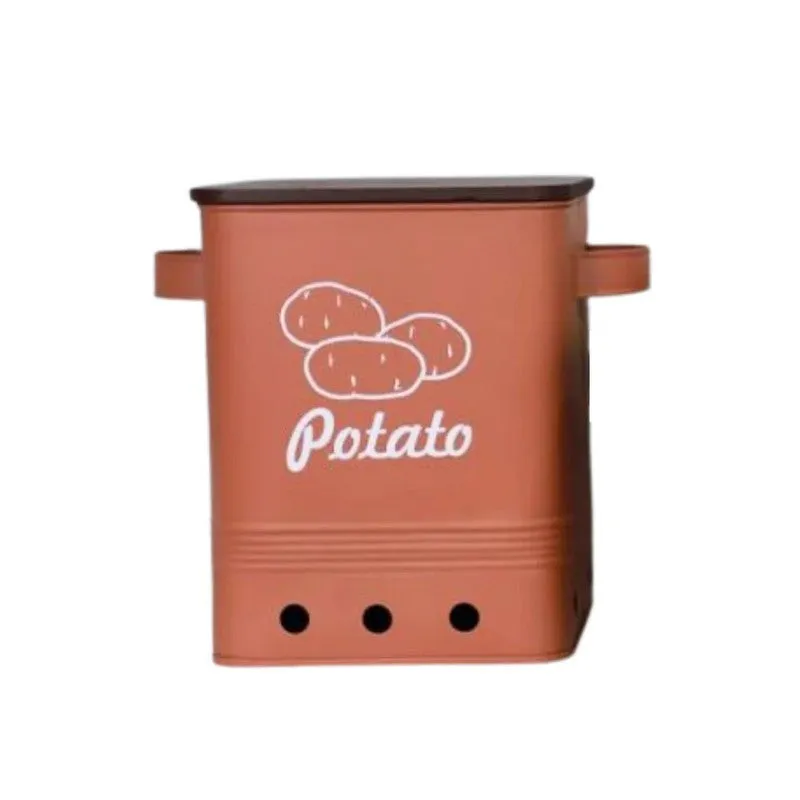 Ferrous Fun Rectangle Potato Iron Container -15 L media 3