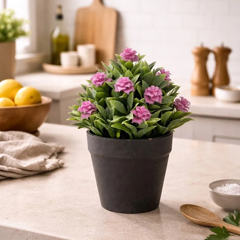 Ethnora Artificial Plant With Plastic Pot(Set of Two) - 0.6 Feet media 7