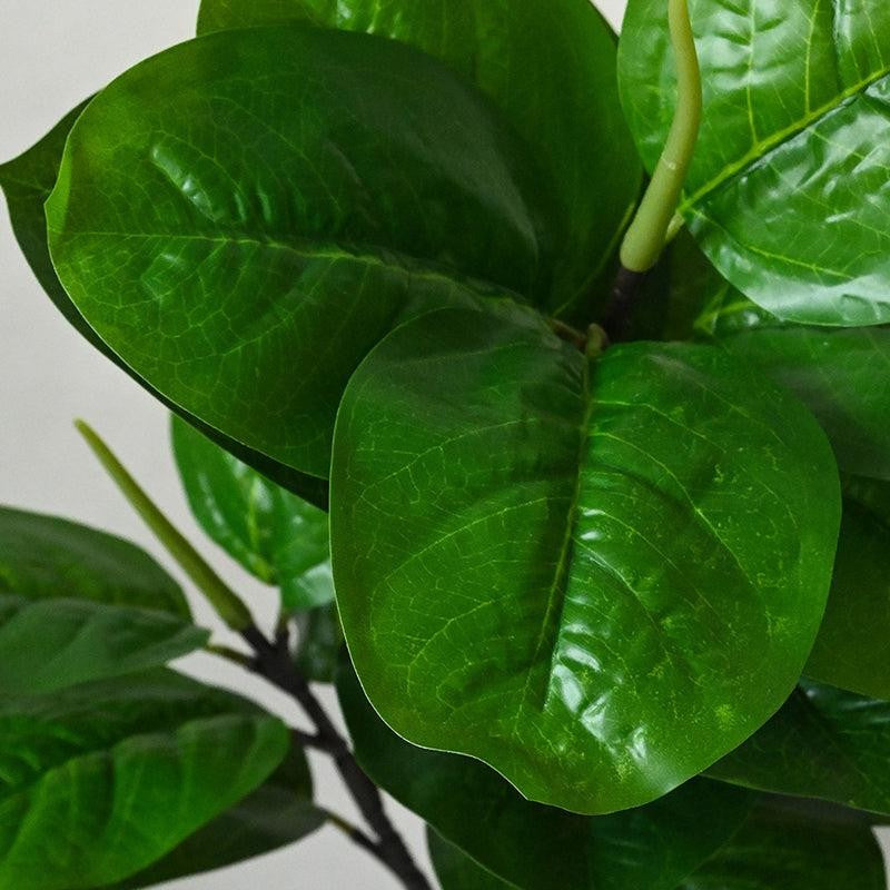 Faux Decorative Fiddle Fig Plant With Pot - 71 cm (2.3 ft) media 3