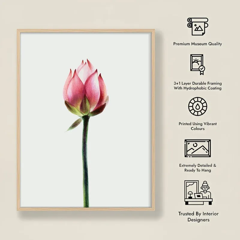 Painted Lotus Bud Archival Paper Wall Art - Natural Brown Frame media 9
