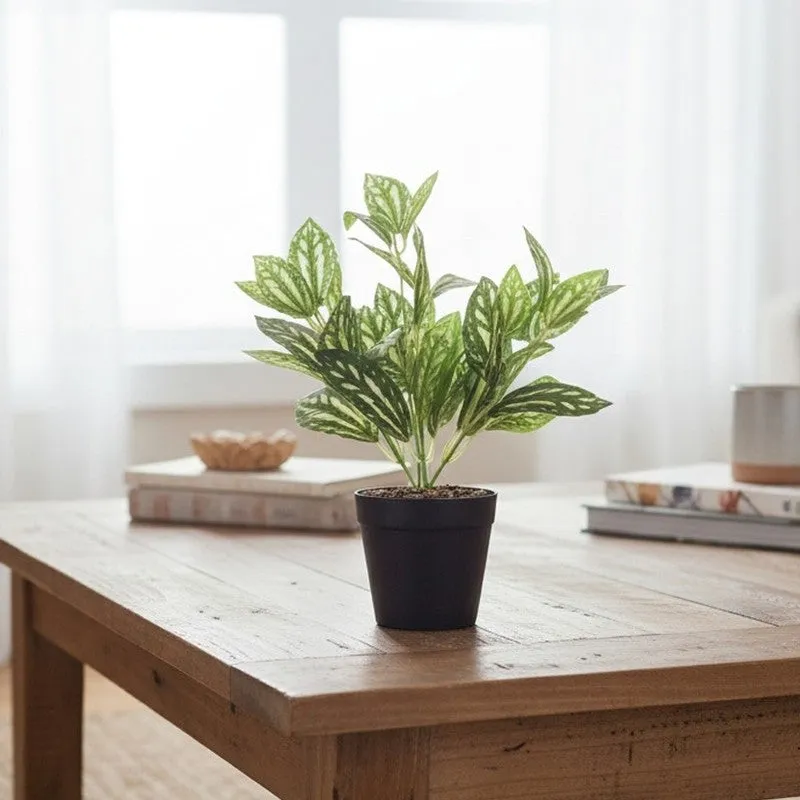 Watermelon Pilea Artificial Plant With Black Fiber Pot - 0.9 Feet media 5
