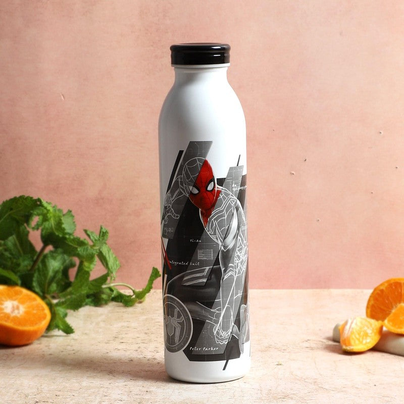 Web Spidey Insulated Water Bottle - 650 mL - 650 mL