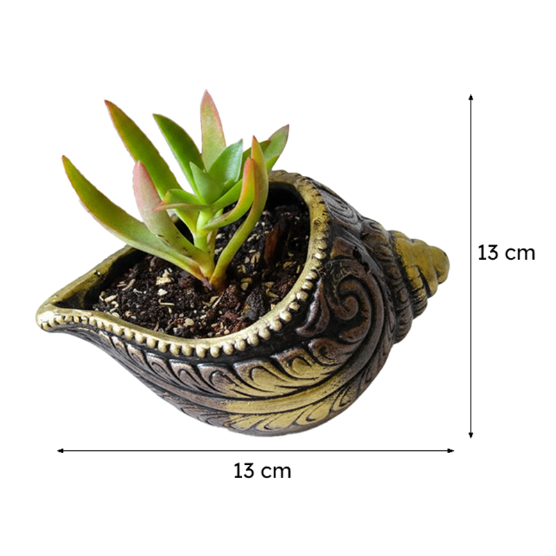 Terrapod Terracotta Planter - Set Of Two media 8