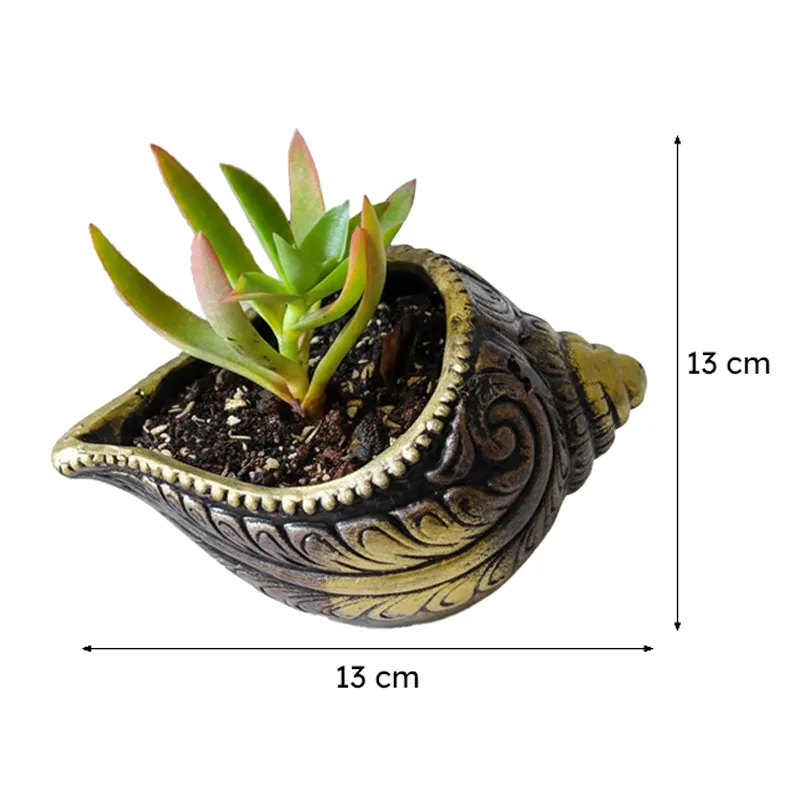 Terrapod Terracotta Planter - Set Of Two media 8