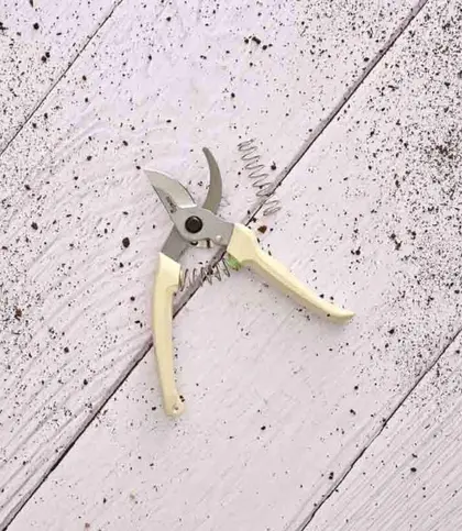 Metal