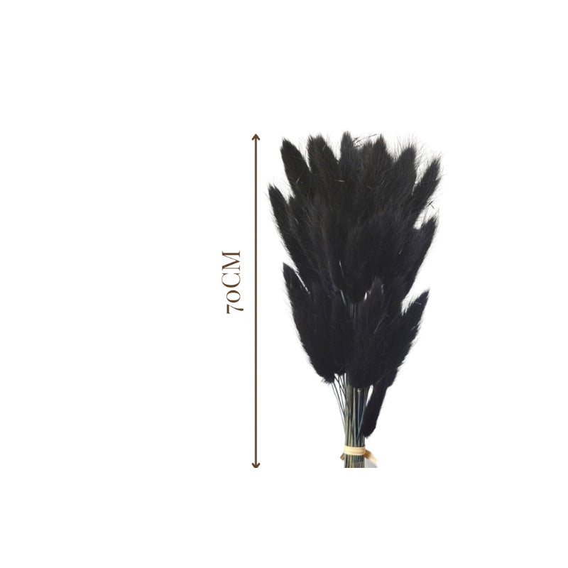 Dried Bunny Tail Stem (Black) - Set Of Thirty media 6
