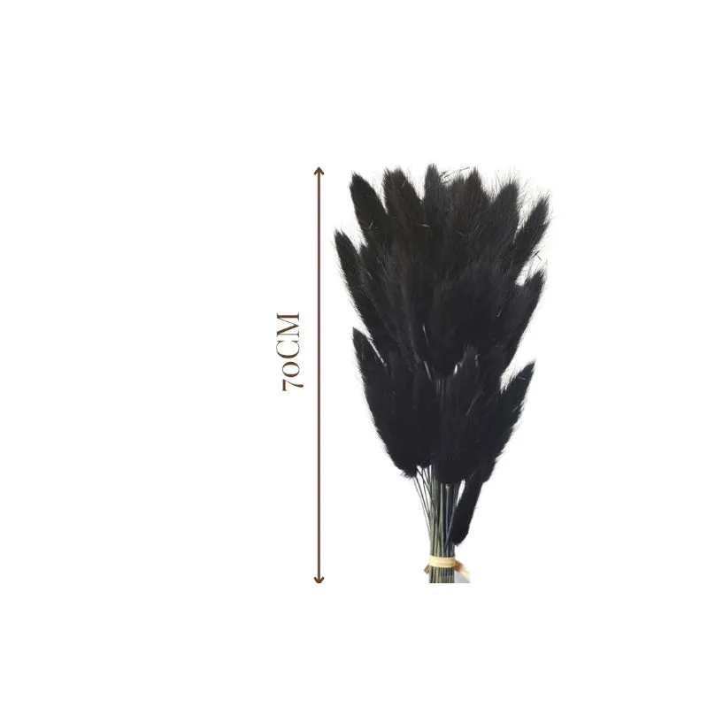 Dried Bunny Tail Stem (Black) - Set Of Thirty media 6
