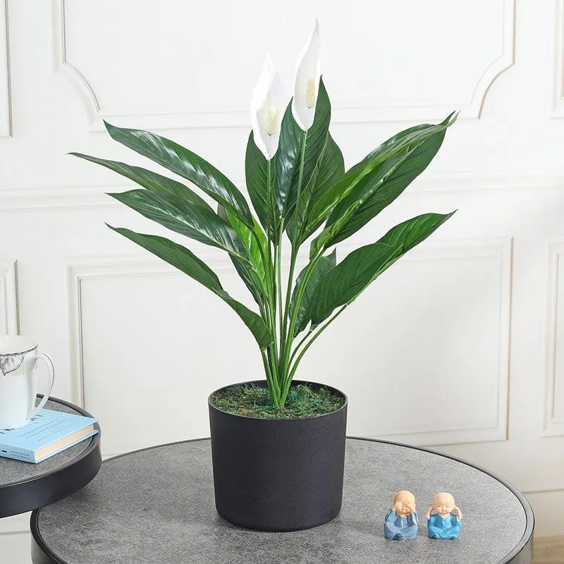 Foliage Flourish Artificial Plant With Black Plastic Pot media 2