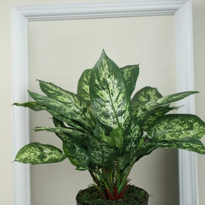 Artificial Dieffenbachia Plant Without Pot - 1 Feet media 5