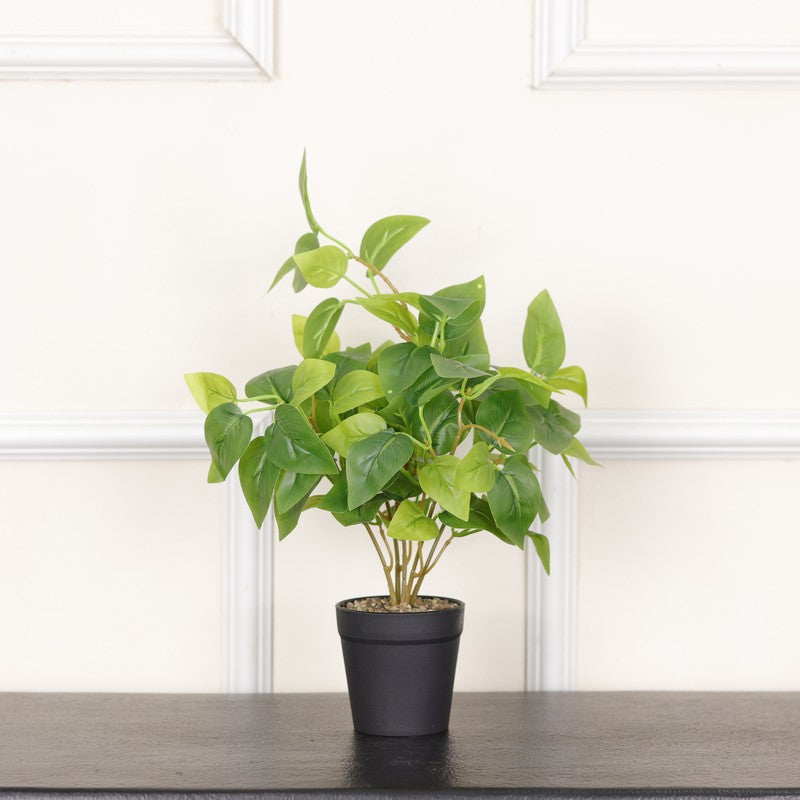 Baby Pothos I Artificial Plant With Black Fiber Pot - 1 Feet media 3