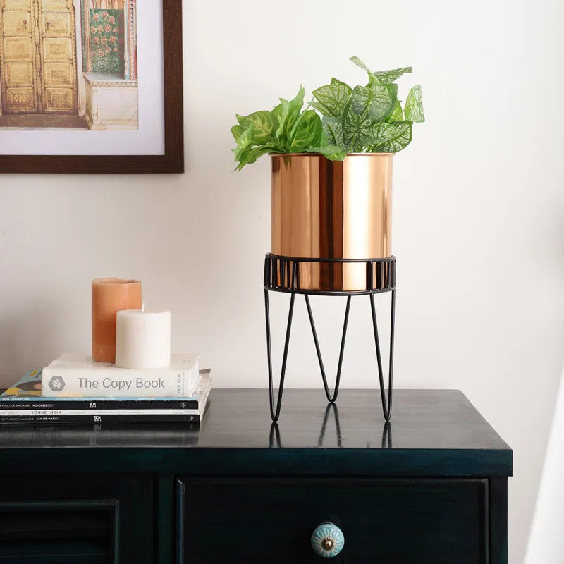 Zenva Stainless Steel Planter - Copper & Black media 2