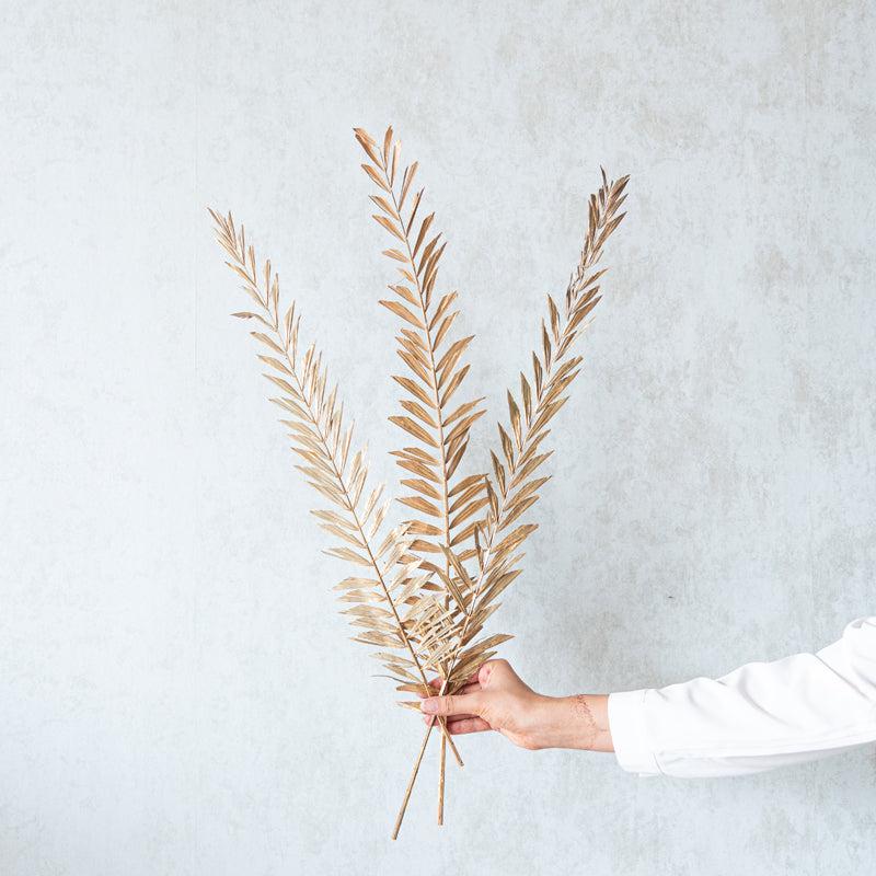 Nihaim Dried Leaf Stem (Beige) - Set Of Five