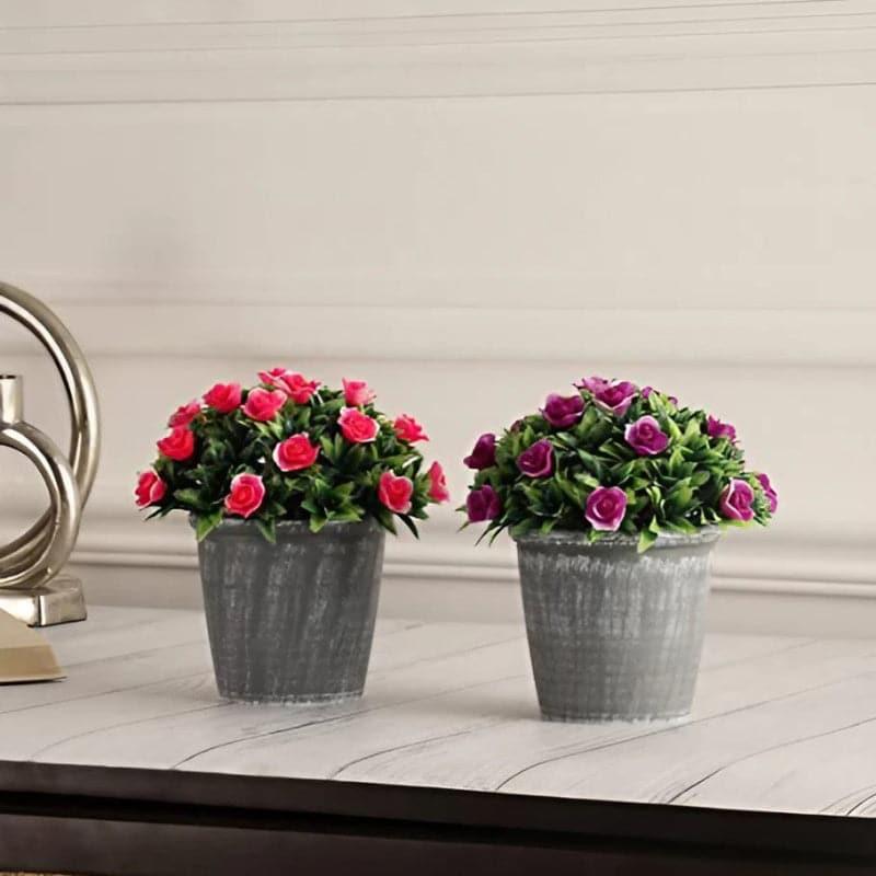 Opra Faux Plant In Garcia Pot - Set Of Two