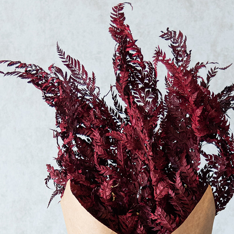 Astridae Dried Fern Leaf (Dark Pink) - Set Of Twelve media 5