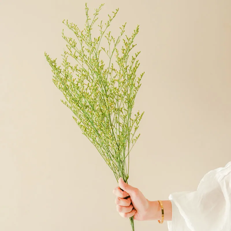 Artificial Limonium - Five Piece Set media 1