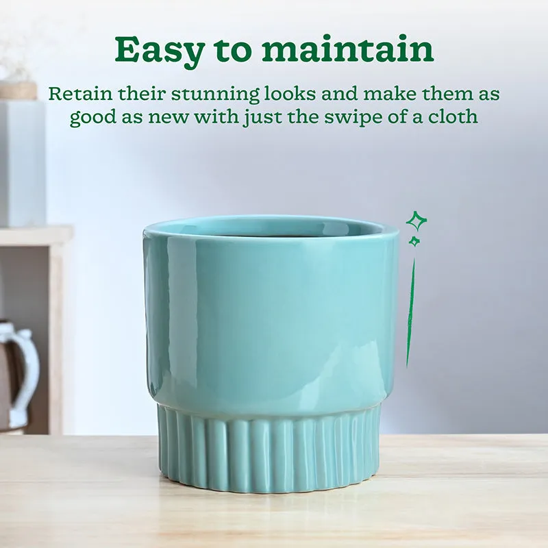 Ugaoo Sleepy Sprout Round Ceramic Planter - Blue media 4