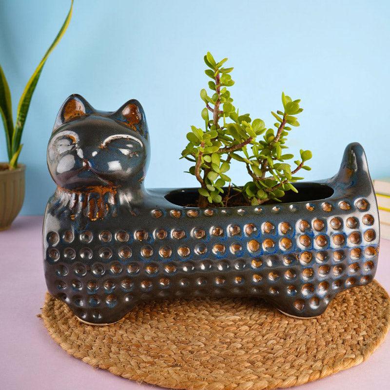 Catto Pose Planter - Blue media 2