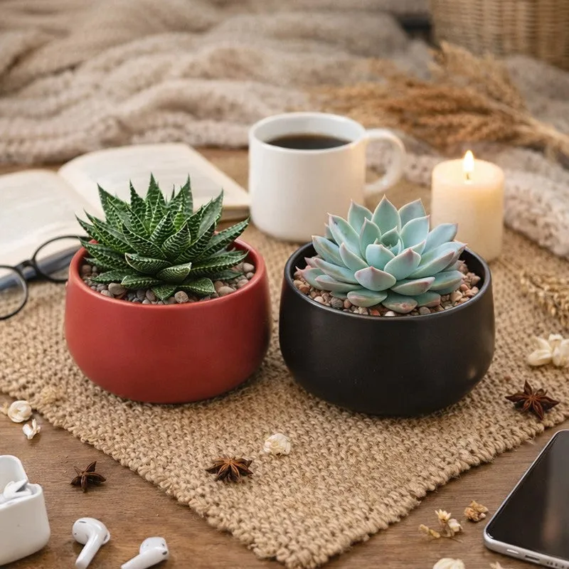 MinimalAura Pots & Planters (Red, Black) - Set of Two media 8