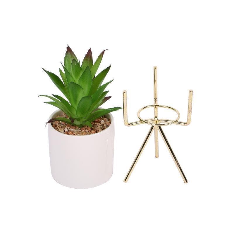 Faux Agave In White Pot With Tripod - 25 cms media 3