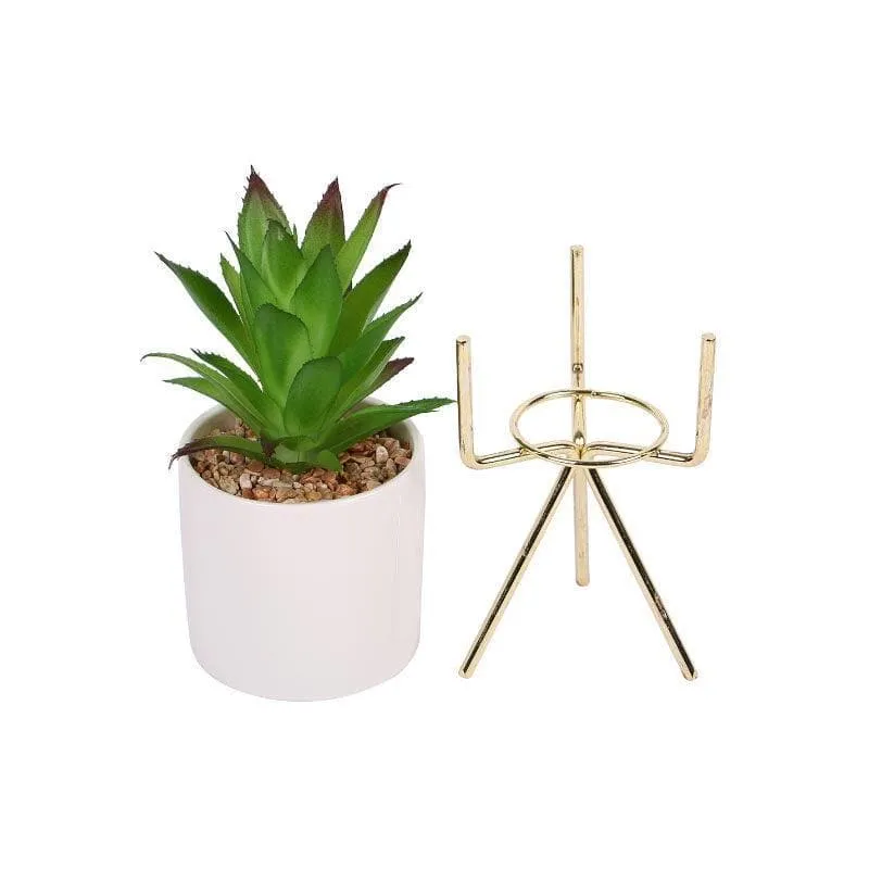 Faux Agave In White Pot With Tripod - 25 cms media 3