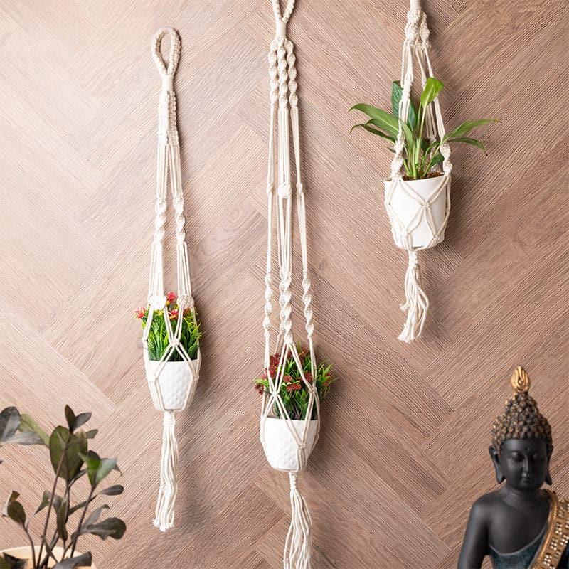 Broda Macrame Planter - Set Of Three