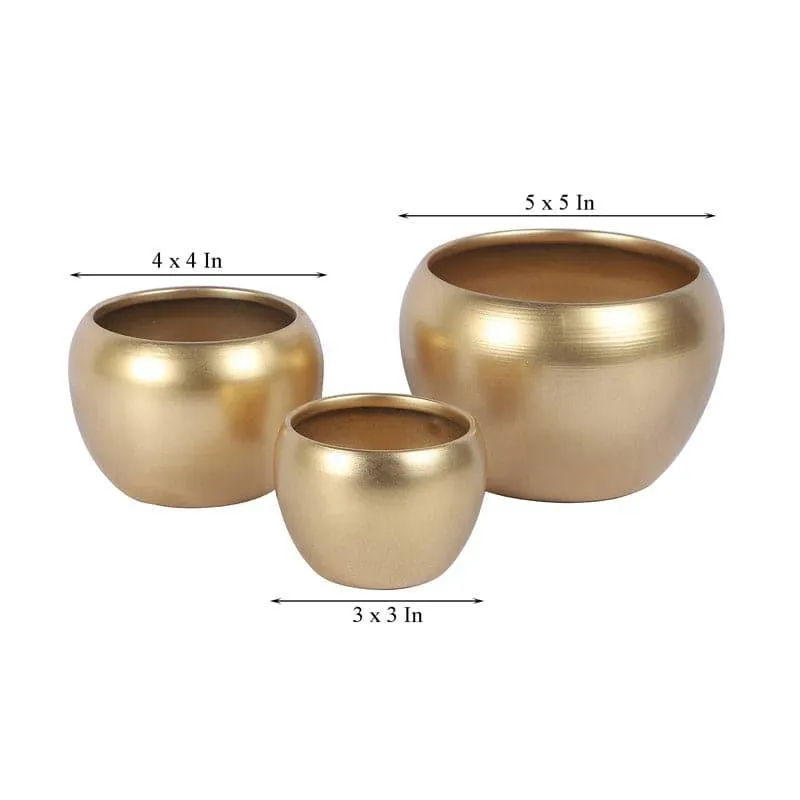 Applo Pine Planter (Gold) - Set Of Three media 6