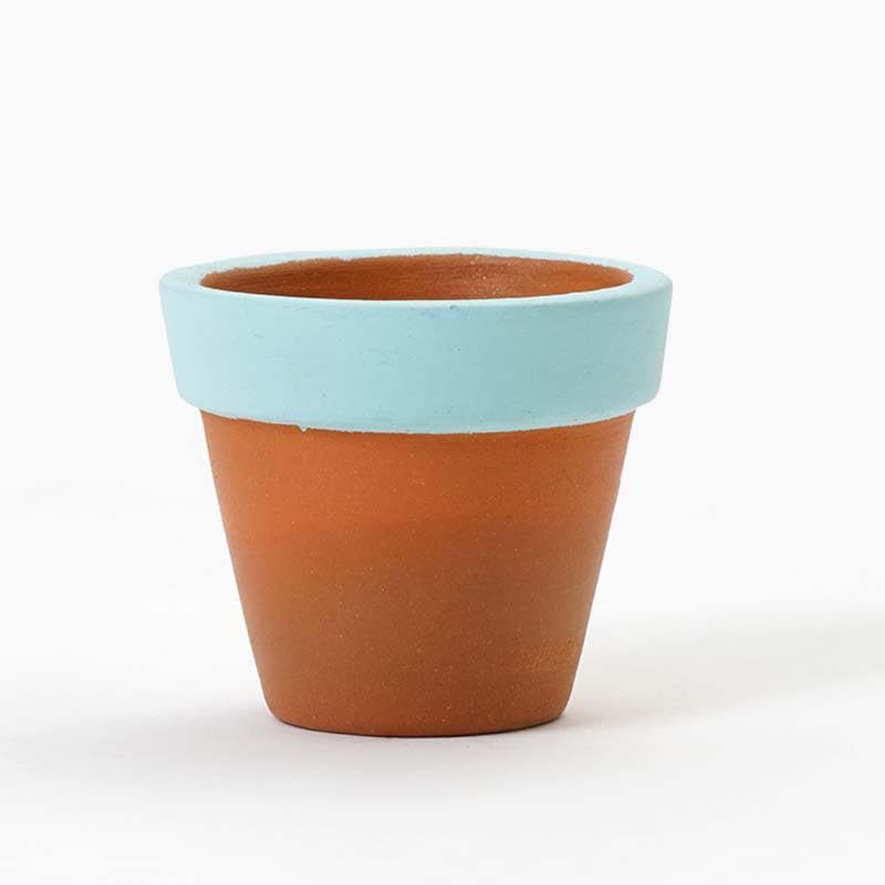 Pastel Mimic Planter - Blue media 4