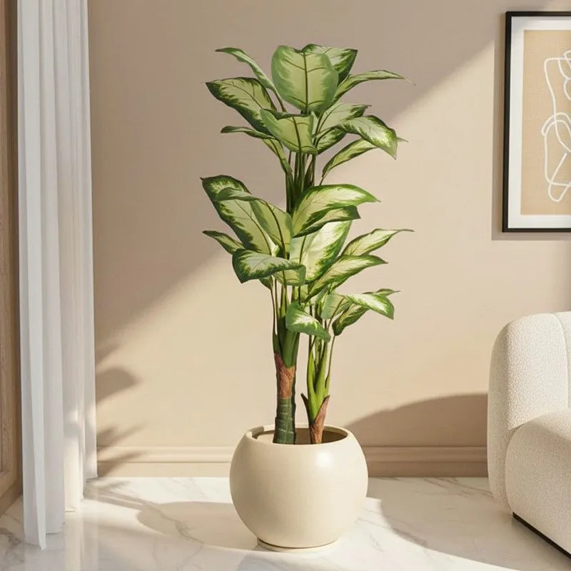 Faux Lush Variegated Dieffenbachia Plant With Black Plastic Pot - 5.2 Feet media 1