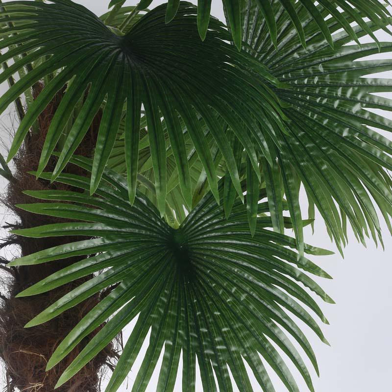 Faux Lush Bottle Fan Palm Plant With Black Plastic Pot - 6 Feet media 4