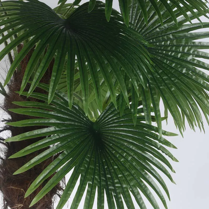 Faux Lush Bottle Fan Palm Plant With Black Plastic Pot - 6 Feet media 4