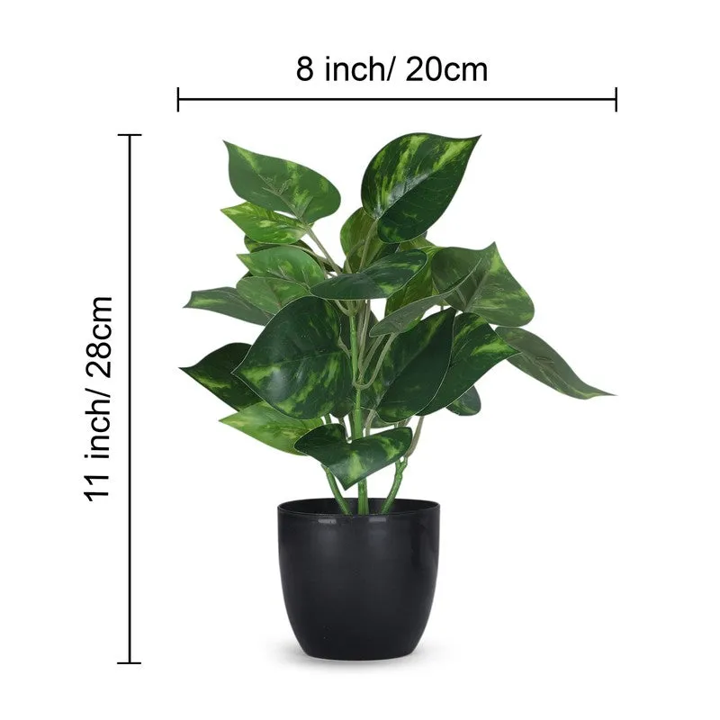 Artificial Money Plant With Black Plastic Pot - Set Of Two media 5