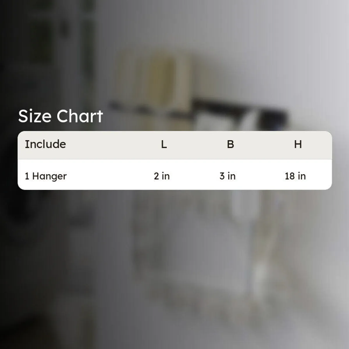 Size chart graphic for the organiser