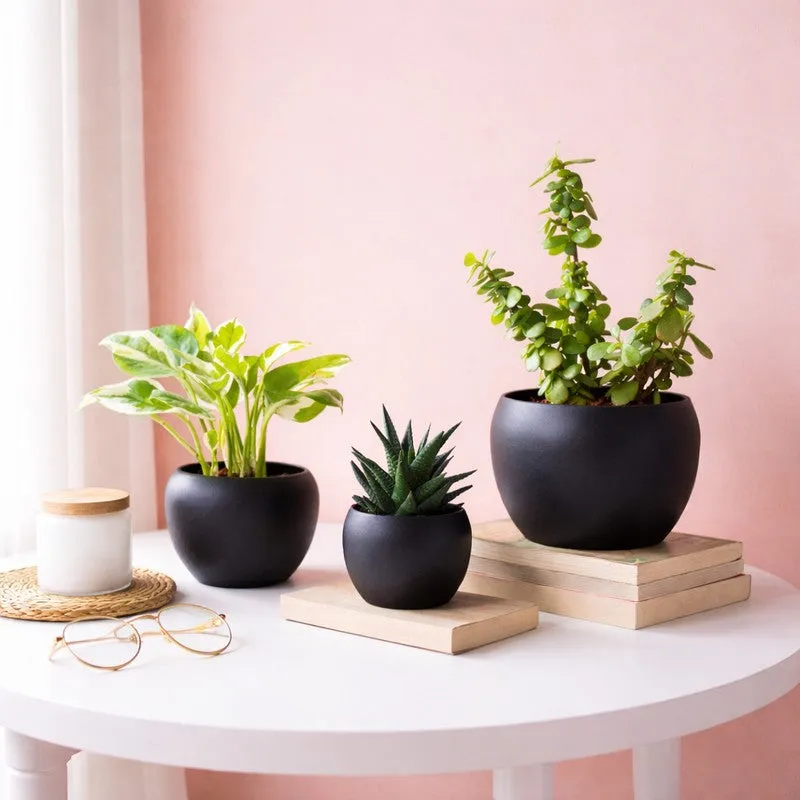 LeafNest Mild Steel Planter (Blue) - Set Of Three media 3