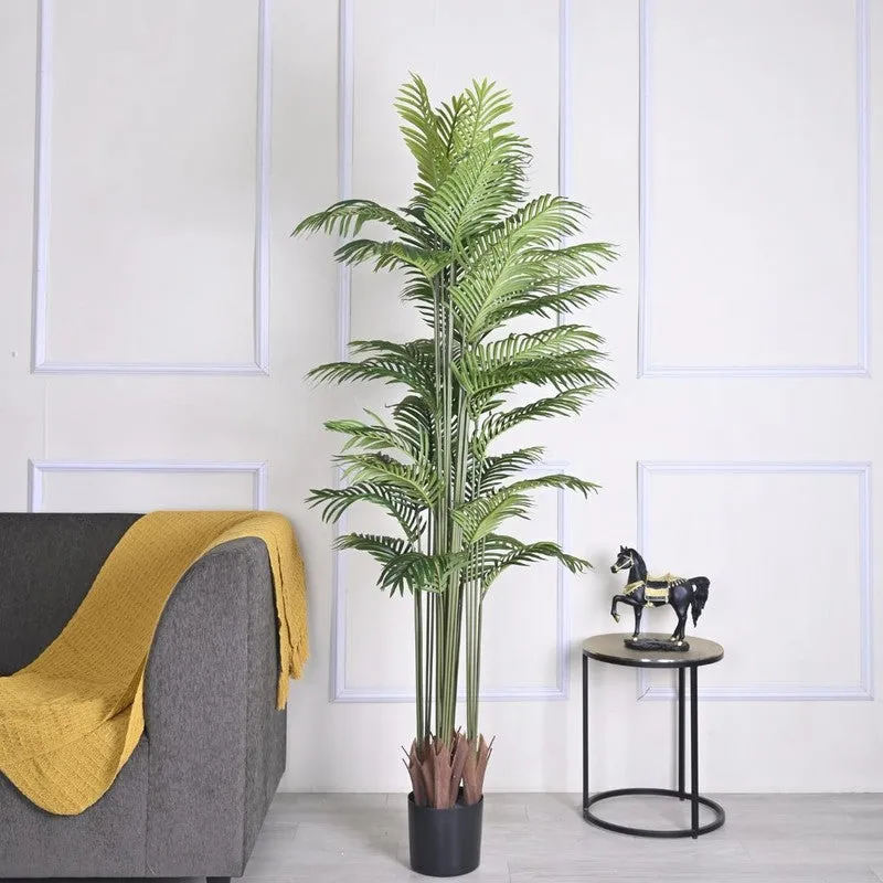 Leafmint Areca Plam Plant With Black Fiber Pot - 6.6 Feet media 3