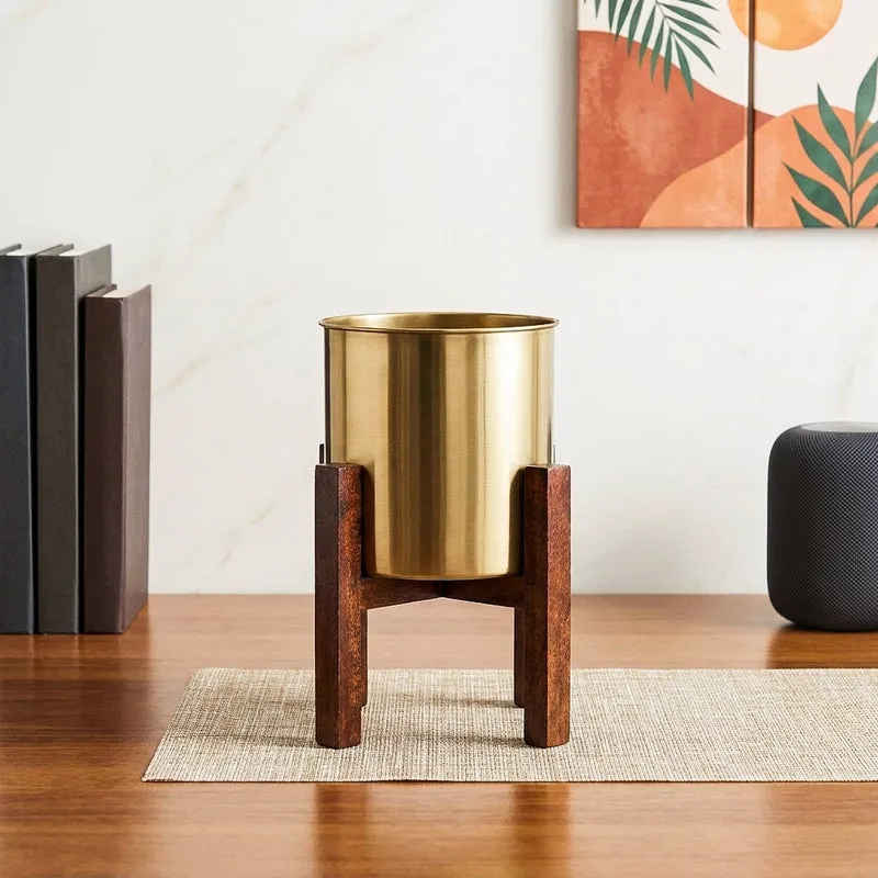 Hita Stainless Steel Planter - Gold media 1