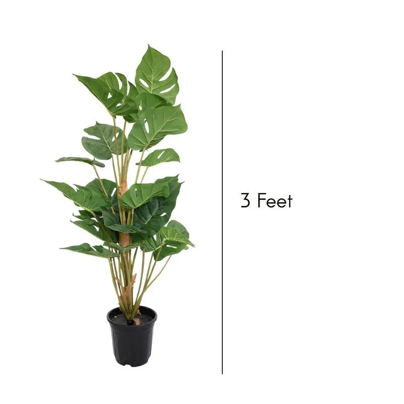 Veloura Artificial Monstera Plant With Black Plastic Pot - 3 Feet media 7