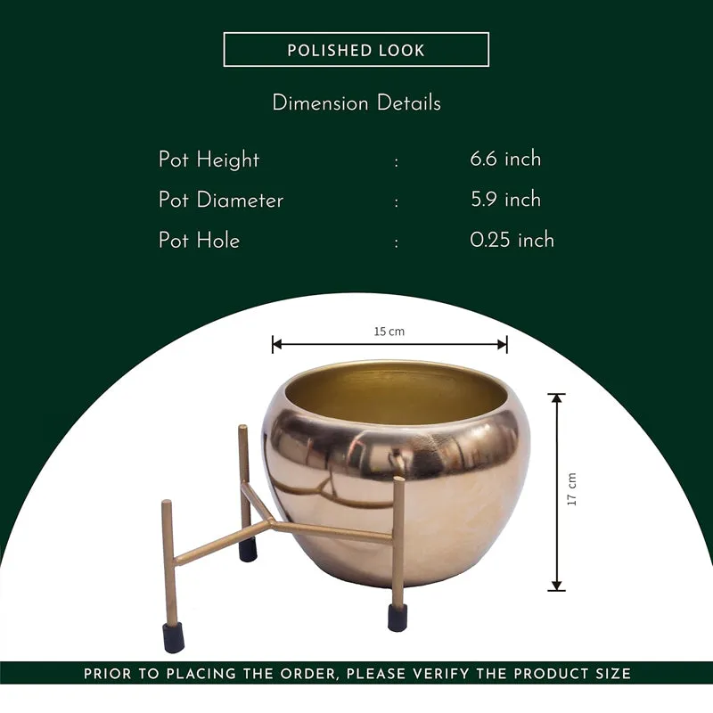 Kyari Stoma Aurum Metal Planter With Stand media 6