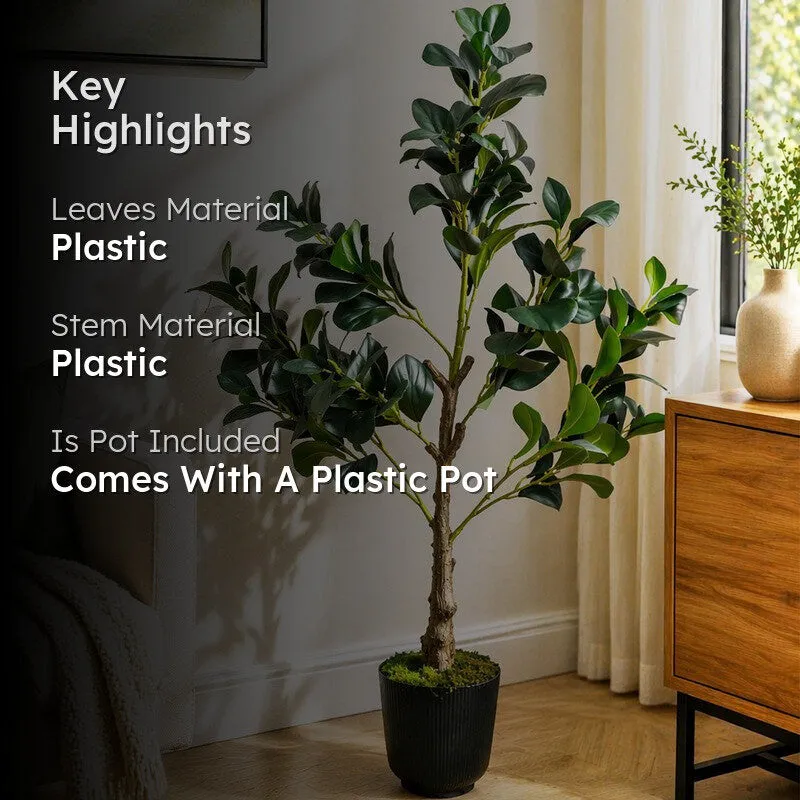 EverGreen Ficus Artificial Plant With Black Plastic Pot - 91 cm (3 ft) media 2