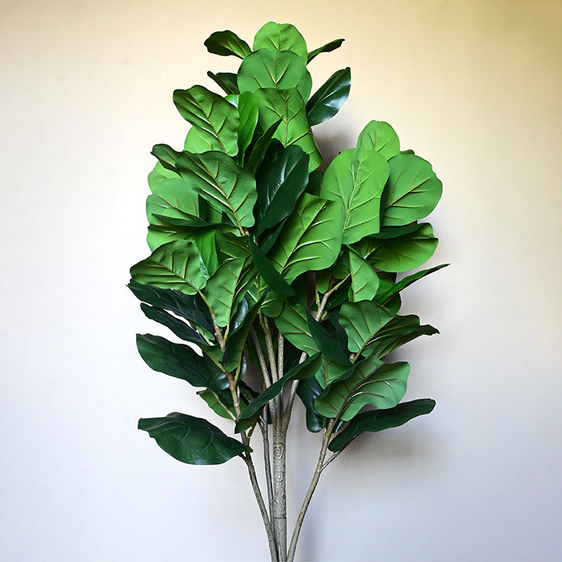 Aveli Artificial Fig With Black Plastic Pot - 80 cm (2.6 ft) media 5