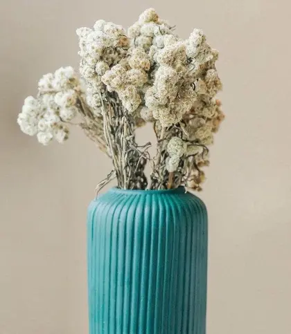 Dried Flowers & Leaves