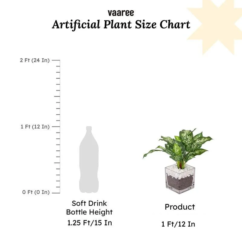 Faux Dieffenbachia Bonsai In Glass Pot - 27 cms media 5