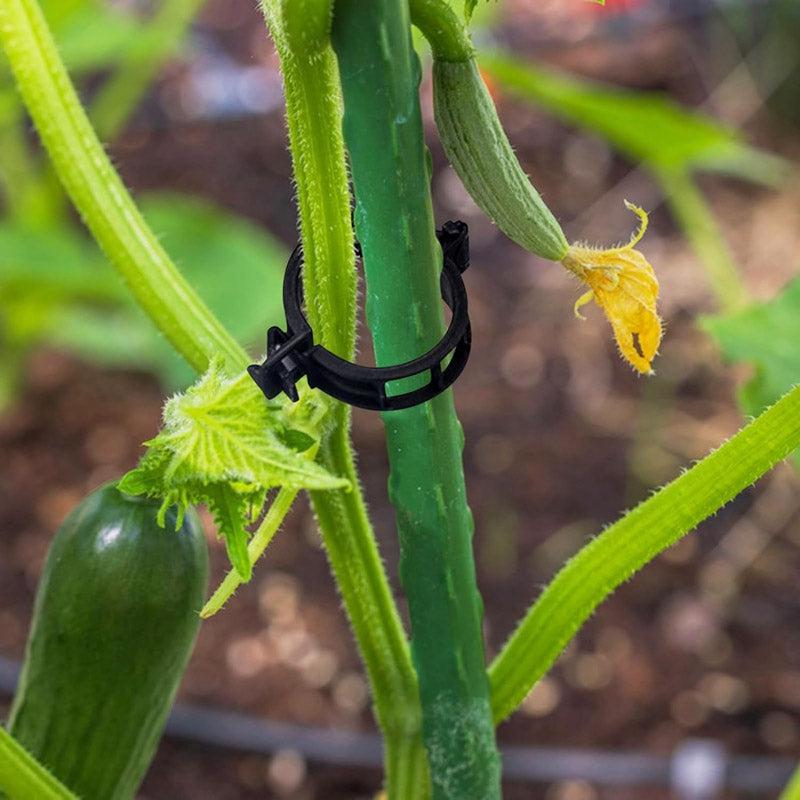 Plant Pro Garden Clip (Black) - Set Of Fifty media 11