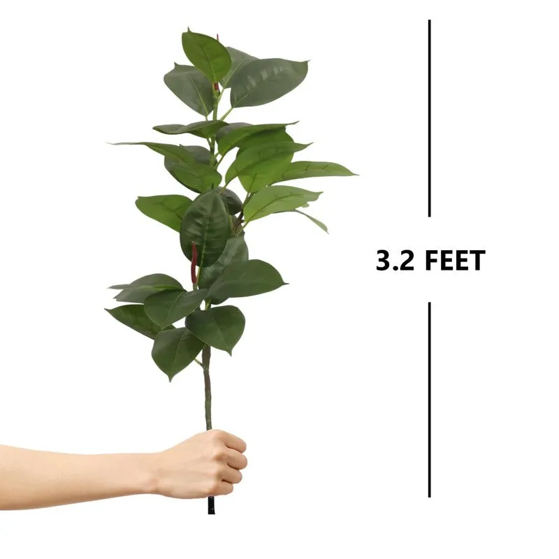 CasaBloom Artificial Rubber Plant With Black Plastic Pot - 2.5 Feet media 8