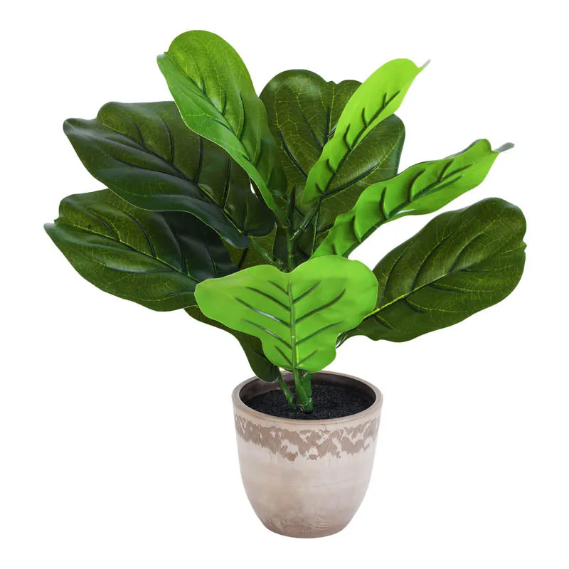 Artificial Fiddle Leaf Fig With Black Plastic Pot (Set Of Two) - 1 Feet media 4