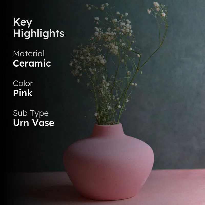 Pink rounded vase with white stems against a dark backdrop