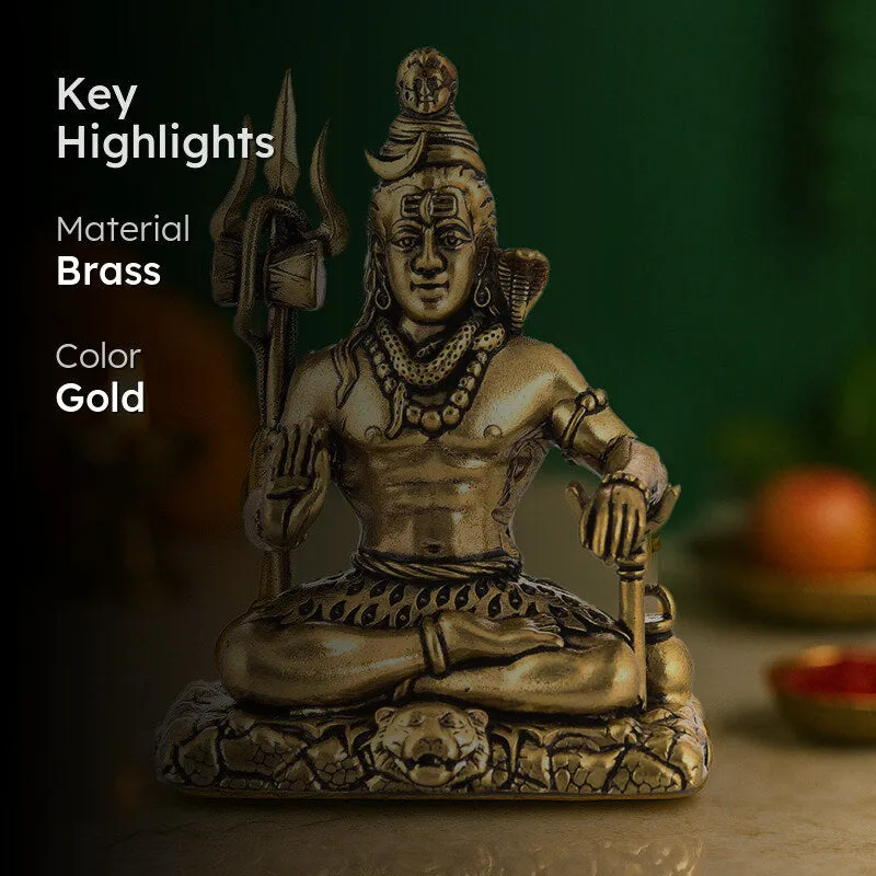 Divine Mahadeva II Brass Idol media 2