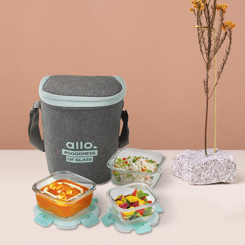 Pakruv Leak Proof Glass Lunch Box with Bag- Set of Three media 3
