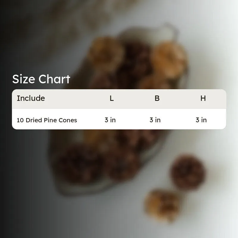 Ignatio Pine Cones - Set Of Ten media 6