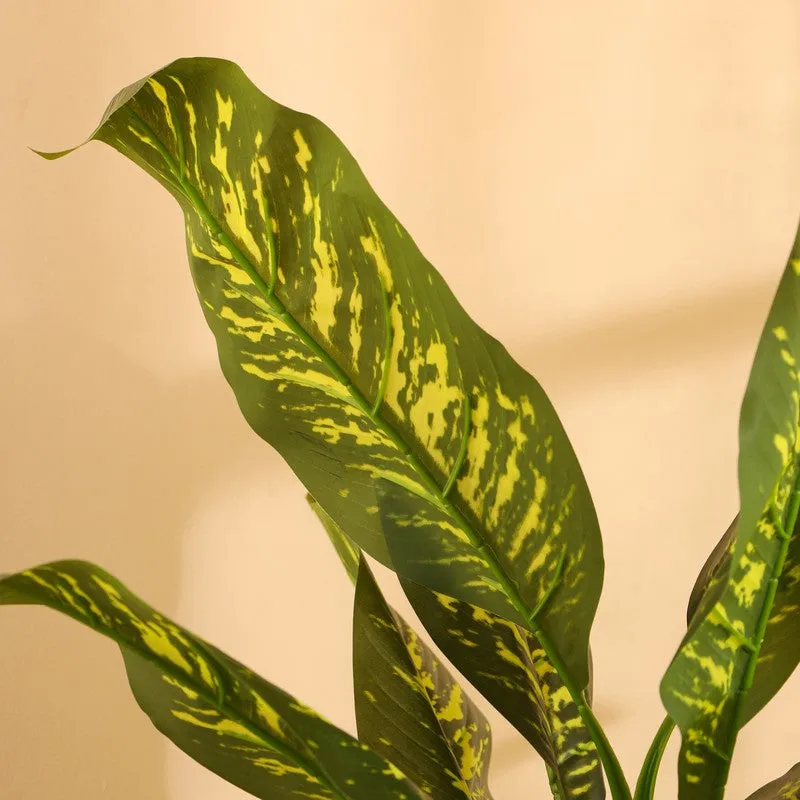 Artificial Dieffenbachia Plant With Black Plastic Pot 5.5 ft media 8