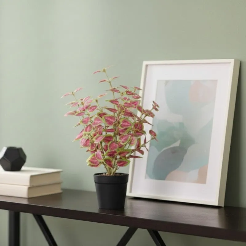 Artificial Natural Looking Coleous Big Plant With Black Fiber Pot (Pink) - 1.4 Feet media 5